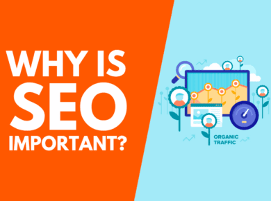 learn seo beginners