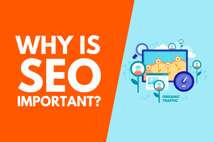 learn seo beginners